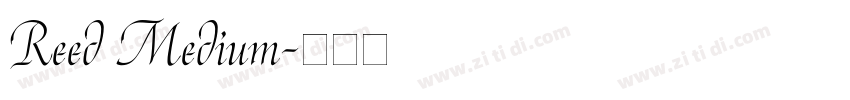 Reed Medium字体转换